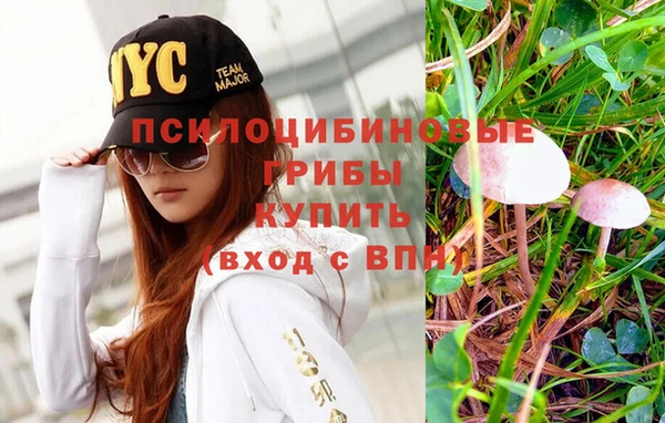 jwh Осинники